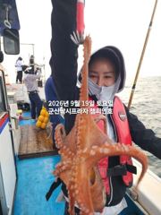 18일, 군산문어, 무쟈게 나옵니다.......덩치급 문어들, 실시간~군산낚시프라자 챔피언호