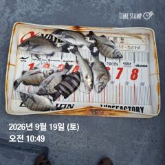 [여수,광양] 성빈호. 9월 19일 출조 다녀왔습니다