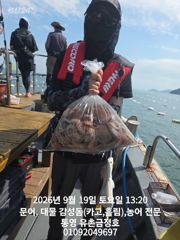[통영] 통영 금정호 오전문어선상 드디어 마릿수 싸이즈 좋아집니다!! 내…