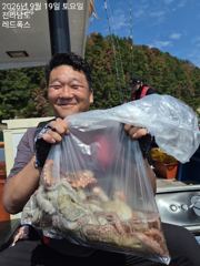 [여수,광양] 여수레드폭스호 돌문어 조황입니다
