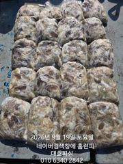 군산 대호피싱 쭈꾸미 대박치고 입항 하였습니다