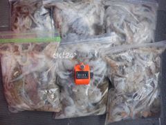 19일 최저가대왕쭈 초대박 왕쭈장원122수..눈꾸미는사절.. 계속출발.......