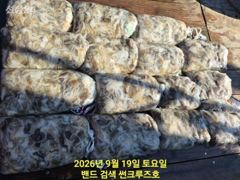 19일 군산 썬크루즈호 쭈꾸미 조황입니다