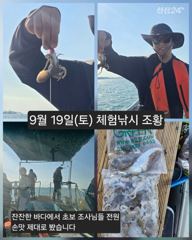 [피닉스피싱호] 9월 19일(토) 체험낚시 조황 - 무시 물때 잔잔한 바다에서 초보 조사님들 전원 손맛 제대로 봤습니다