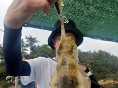 [진해] 돌문어로 쭉~쭉 무늬팁런으로 쭉~쭉 올리고 예약가능