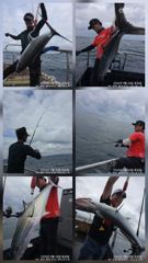 9/19 오후 한타임 대삼치 타작! 마릿수 굿! (주중/주말 추석명절-모집중!)