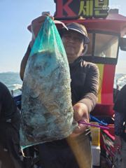 9월19세븐피싱쭈조황이예요수고많으셨습니다그리고감사합니다