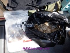 26년9월19일 조황