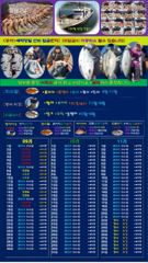 ♥괴물급 5짜 붉바리들 괴물급 퍼레이드 이정도는 잡아봐야지요 초대박 붉바리조황입니다[2026년09월19일] ◎ 해마루호가 뜨는이유? 조황때문이죠 ◎ 핵심포인트: 바로진입.. 바로히트.. ◎ 차원이 다른 조황으로 모십니다 ▣ 요즘 붉바리낚시가 대세입니다