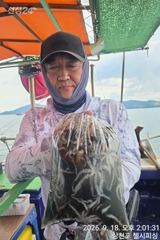 쭈꾸미 마릿수좋습니다
