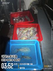 욕지권무늬 긴급자리여유~~