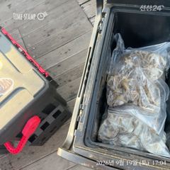 오늘도 깡패를 만났네...