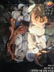 문어 조황입니다 살오른 가을문어 잘 나오네요 사진
