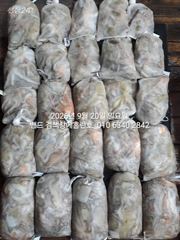9월19일 굿 조황 매일매일 사고친다 홈런호 .....군산 홈…