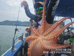 "여밭돌문어"1200gKKK 180수~ 개인22수18수15수13수13수12수등 계속 3자릿수~^^ 사진