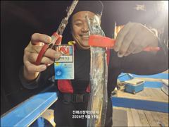 [20일입항] "내만갈치" 3지까지!! 씨알+마릿수 모두 굿굿굿!! [오늘예약가능] 010-7660-2435