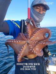 20일 주간문어~연일 대박 오늘도 잘 나오고 있어요~~~덩치급 문어들~실시간~ 군산낚시프라자 포세이돈호