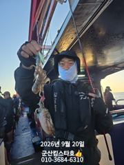 ■군산킹스타호(9/20)■쭈꾸미 실시간~(계속해서 출조합니다. 예약가능)
