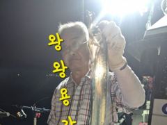 내만갈치 맞나?! 4지에 3지들 대치들이 퍽퍽~~오늘도 달료~~