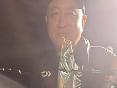 [진해] 내만갈치 씨알좋고 마릿수 좋고~~~예약가능