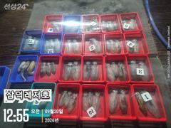 [통영] [팁런] 악조건에도.마리수(오늘.소수인원.출조확정)
