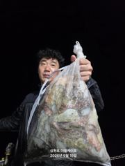 [먹물조황]삼천포문어조황!주꾸미조황!매일출조!