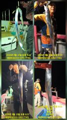 대양호 선상낚시 조황