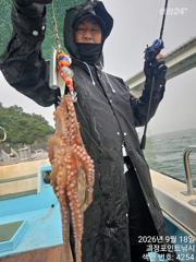 ~~*굵직한돌문어 마리수 좋습니다~(예약가능)*~~