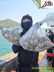 문어 조황