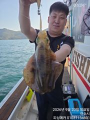 [여수,광양] 21일 금오열도 무늬오징어 출항합니다