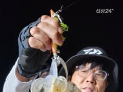 무늬팁런 오늘도 몬스터와 마릿수가