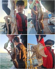 ■ 9/20 군산 "쭈꾸미"■ Good조황~!! ▼▼내일 자리여유~!!