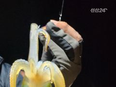 무늬팁런 오늘도 몬스터와 마릿수가