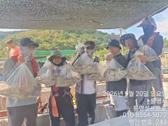 [통영] 사량도 돌문어조황 내일 여유
