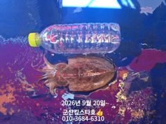내일(9/21쭈~"급"1자리여유발생■군산킹스타호(9/20)■쭈꾸미 굿~마무리소식