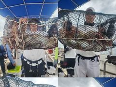 [진해] 문어,160수,개인,25수,23수,22수,21수,20수,왕창,,…