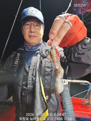 9월20일 무창포뉴아폴로호 대박 쭈꾸미망태기조황 사진