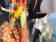 돌문어주,야간바글바글k급외개인두자리마릿수손맛짱!!!
