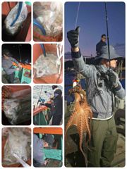 [포항] 9/20. 실시간돌문어! 뉴대양호