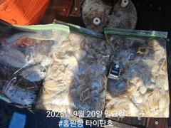 9/20 홍원항 타이탄호 쭈꾸미,갑오징어