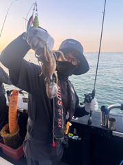 0916쭈사냥