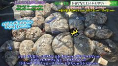 9월20일 홍원항힐링호 대박 쭈꾸미 망테기 조황~!여지없네요^^처음하시는분 들도 쌍걸이 쓰리걸이 ㅎㅎ 기본이 200수오바~장원400수오바~쉴틈없이 올리시다 가셨습니다 ㅋㅋ
