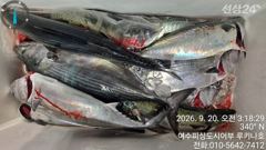 내일 월요일 먼바다 갈치 자리 여유 있습니다 .황제낚시가능.여수 피싱도시어부 16석루키나호
