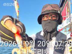 군산쭈꾸미, 갑오징어와 함께 나오고 있어요~실시간~군산낚시프라자 나드리호