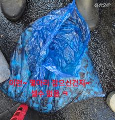 9월 20일 쭈꾸미 조황