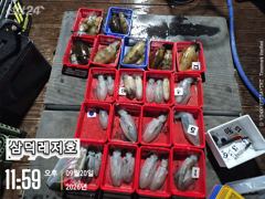 [팁런] 원도권,k,k,k,,무시급들(월,화,출항)