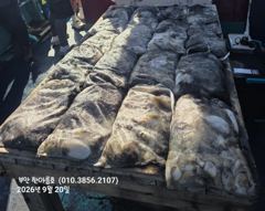 9월20일 부안 한아름호 쭈꾸미(갑오징어)