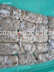 20일, 군산쭈꾸미, 많이 나오네요~2망탱이 조황~싸이즈 굿~군산낚시프라자 나드리호