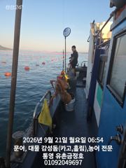 통영 금정호 문어선상 아침부터 정신없이 잡아내고있습니다 내일 오전 자리있습니다