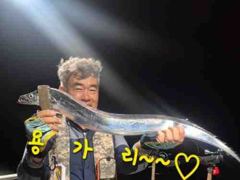 내만갈치 맞나?!연이은 호조황 3지들이 퍽퍽~~사이즈 좋앙~